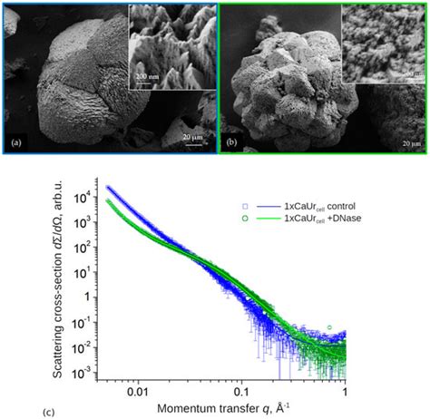 Minerals Free Full Text Structure Evolution Of Caco Precipitates