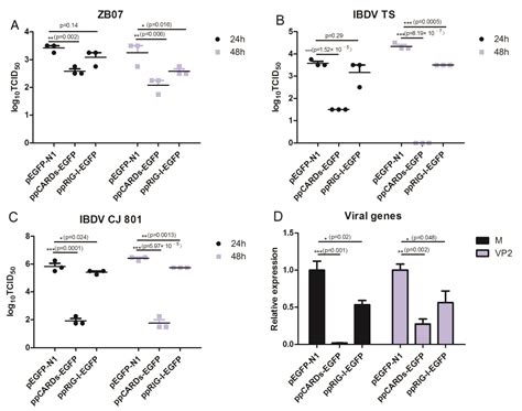 Viruses Free Full Text Pigeon Rig I Function In Innate Immunity