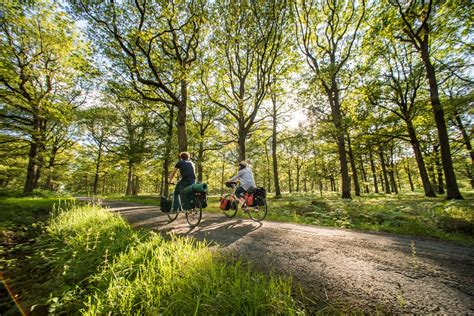 Top des grandes randonnées à vélo autour de Courtils Parcours et