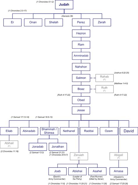 Judah To David Genealogy Bible Study Books Bible Study Notebook