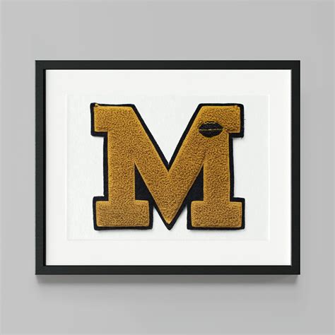 Missouri University Tigers College Letterman Letter Giclee Fine Art