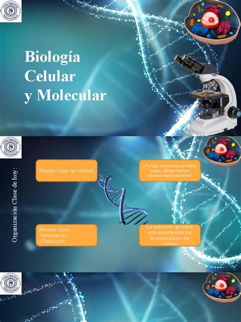 Biologia Celular Y Molecular 6 De Sep Pdf Biología Celular Gene