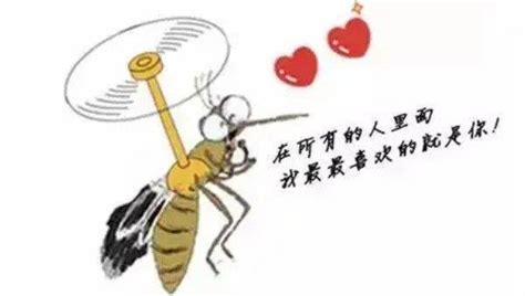 什么血型招蚊子，如何预防蚊子咬？ 神奇评测