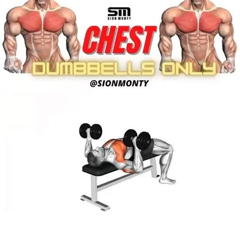 Fitness I Nutrition I Workout On Instagram Dumbbell Only Chest Workout