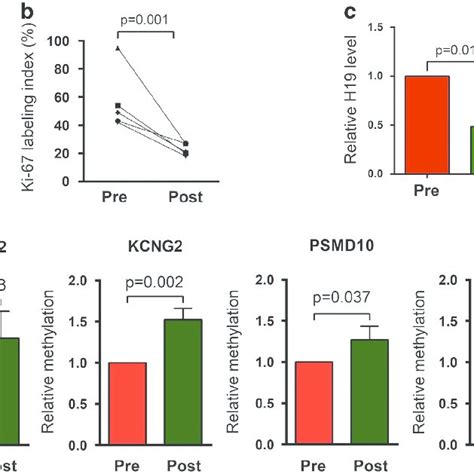 Metformin Induced H Repression And Alteration Of Gene Methylation Are