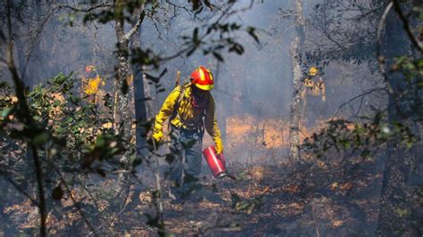 Conafor Reporta Cerca De 200 Incendios Activos En El País Mvs Noticias