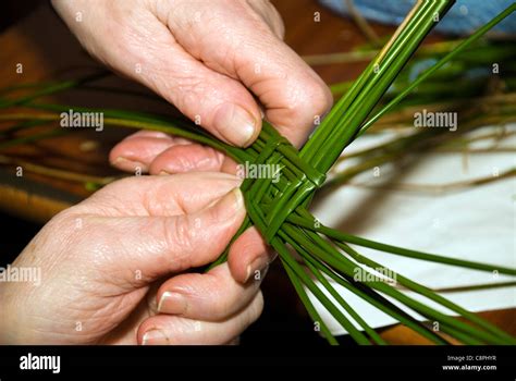 Hacer Una Cruz De Santa Br Gida Es Uno De Los Rituales Tradicionales En