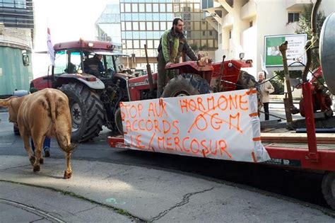 Accord UE Mercosur colère des agriculteurs français Touteleurope eu