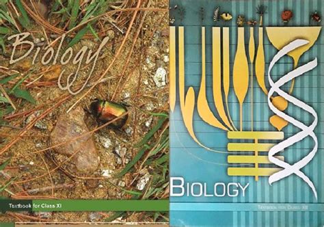 Ncert Biology Textbook For Class 11 And Class 12 Set Of 2 Original Books Combo Buy