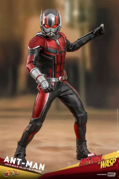 Hot Toys Th Scale Ant Man Collectible Figure Ant Man And The Wasp Rio X Teir