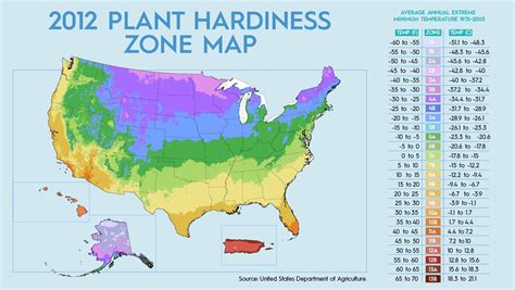 How To Find Your Hardiness Zone And Pick Plants That Will Grow