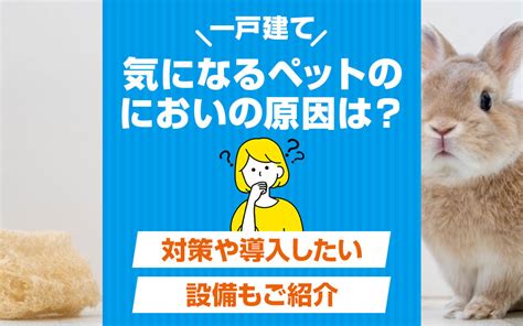 一戸建てで気になるペットのにおいの原因は？対策や導入したい設備もご紹介｜加須市の不動産｜未来こいのぼり不動産株式会社