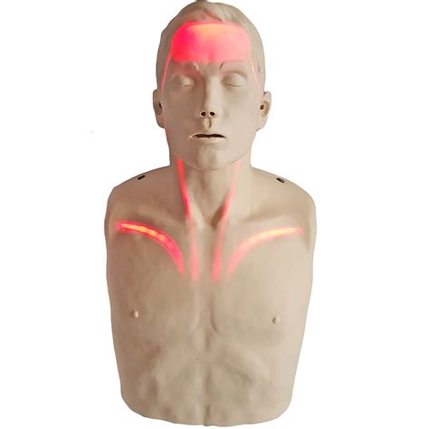 Brayden Cpr Manikin With Red Illumination Led Lights First Safety