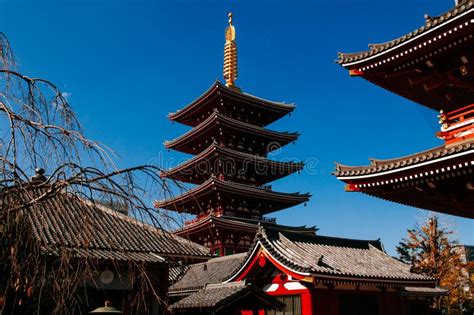 Atracción Famosa De Tokio De La Pagoda Del Piso Del Templo Cinco De