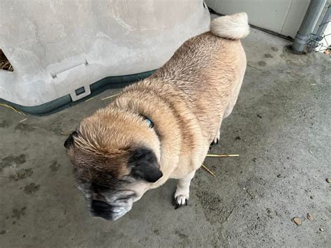 Unlocking Grove City Police Records: Guide to Searching and Obtaining Law Enforcement Data 5