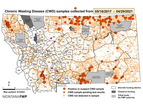 Montana Fwp Drawing Results