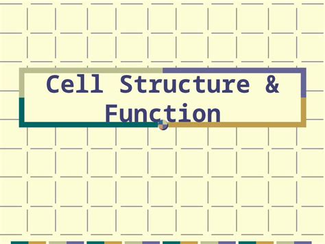 PPT Cell Structure Function Objectives Discoveries Important To