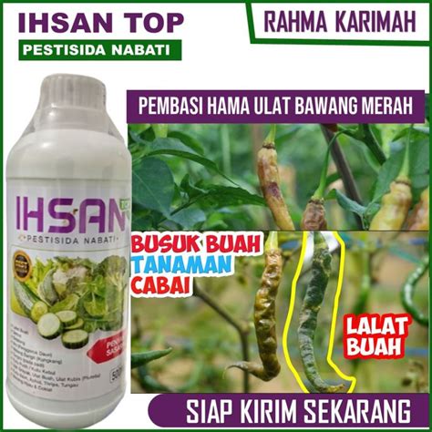 Promo Murah Ihsan Top Obat Untuk Pengendali Hama Lalat Buah Cabai Cara