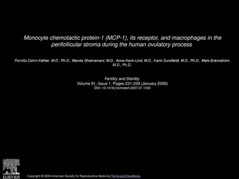 Monocyte Chemotactic Protein 1 MCP 1 Its Receptor And Macrophages