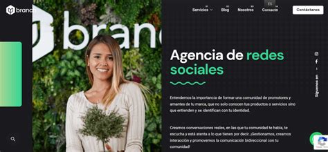 Top De Agencias De Social Media En M Xico Branch Agencia