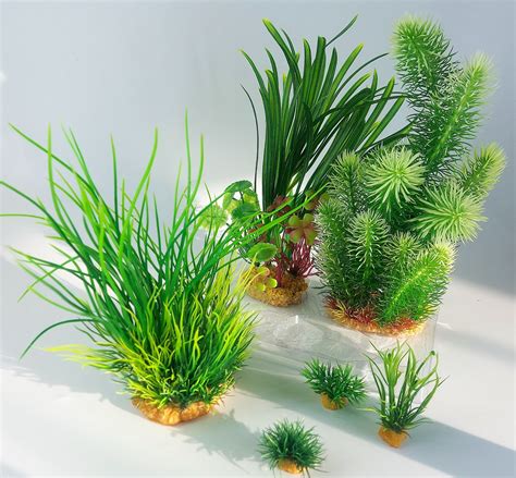 D Co Plantkit Idro N Plantes Artificielles Pieces H Cm