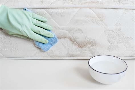 How To Remove Mold From Furniture Fabric Storables