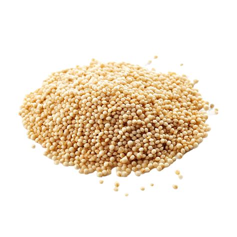 Amaranth Grain (1.5kg) – Kynipam Foods