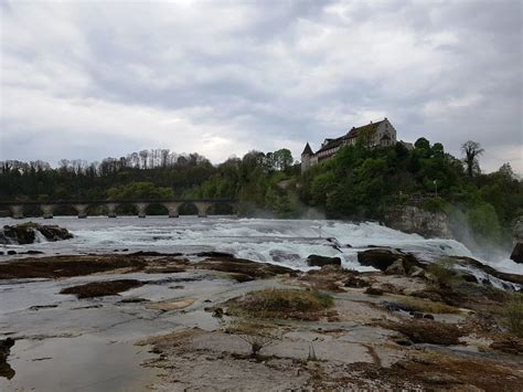 Europes Largest And Most Powerful Waterfall Rhinefalls Tripoto