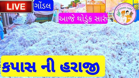 Kapas Na Bajar Bhav 26 08 2023 Cotton Crop Price Gondal Market Yard Na