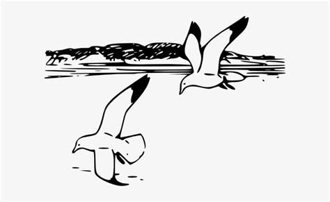 Free Vector Flying Sea Gulls Clip Art Shore Clip Art Black And White