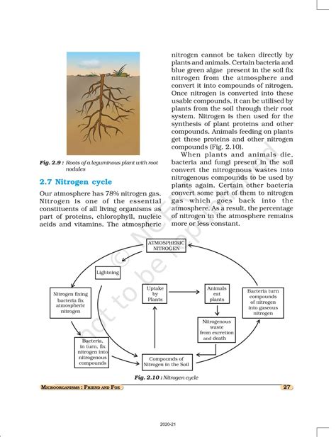 Microorganisms Friend And Foe Ncert Book Of Class Science