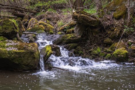 Sungai Air Jeram Foto Gratis Di Pixabay Pixabay