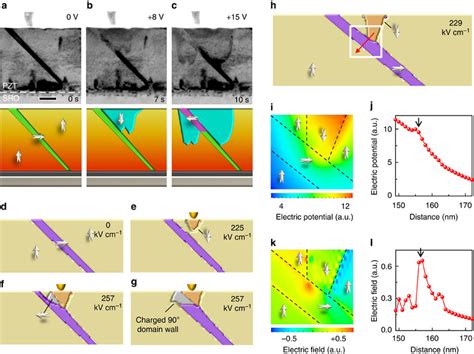 One Hundred And Eighty Degree Polarization Switching Within A