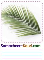 Samacheer Kalvi Rd Standard English Guide Term Chapter Our Leafy