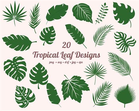 Feuille De Palmier Svg Feuille Tropicale Svg Feuilles Etsy France