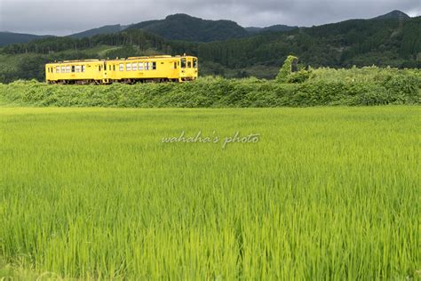 鉄道風景写真が撮りたーいっ！ 夏の大分、撮り鉄だけの旅～⑦