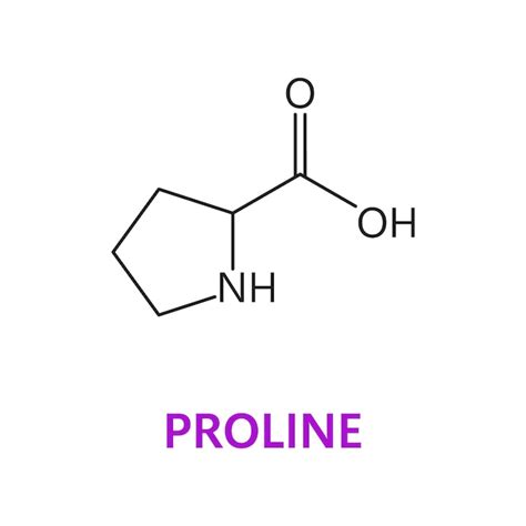 proline images    freepik