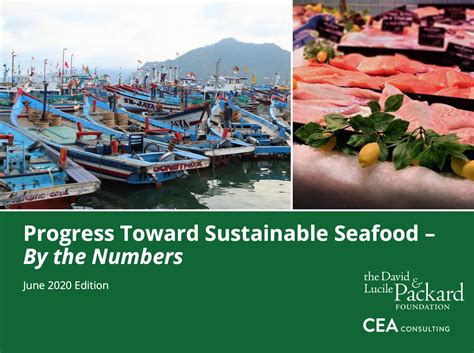 Progress Toward Sustainable Seafood By The Numbers Salt