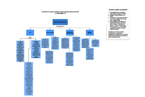 Actividad 2 Cuadro sinóptico sobre aspectos claves del PAP AA2 EV01