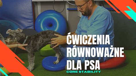 Ćwiczenia równoważne dla psa YouTube