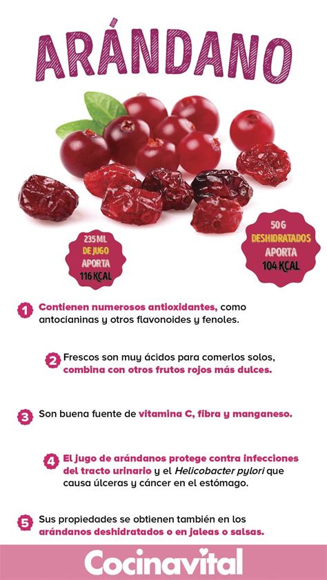 Beneficios De Los Ar Ndanos Rojos Que Te Har N Consumirlos Diario