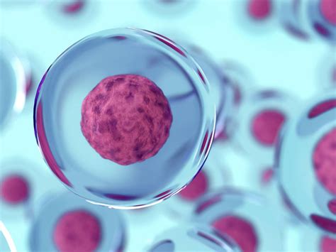 Salud: La innovadora terapia con células madre 'made in Spain'
