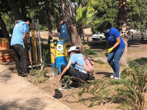 Simpatt Y Voluntarios Siembran Mil Rboles En Parque Morelos