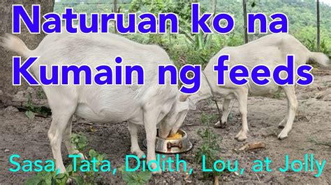 Ep 120 Naturuan Ko Na Kumain Ng Feeds Sina Sasa Tata Didith Lou At