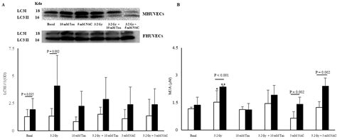 Antioxidants Free Full Text Sex Differences In X Ray Induced