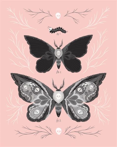 Interview Illustration Art Celebrates The Intricacies Of The Natural