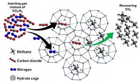 The Schematic Diagram Of Ch Co N Gas Exchange Mechanism In