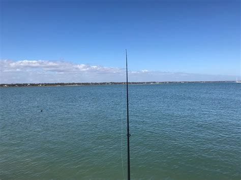 Fly Fishing The Jetty Picture Of Huntington Beach State Park