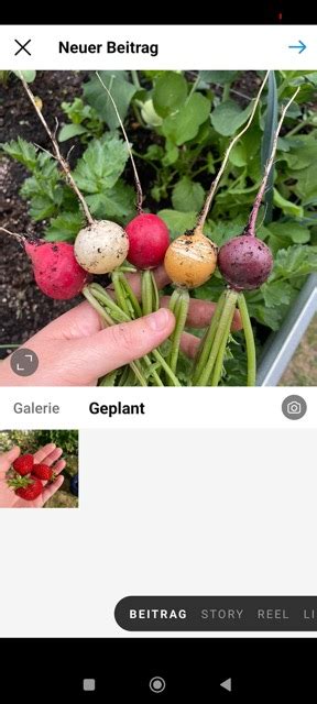 Instagram Post Planen So Geht S In Der App Und Via Tool