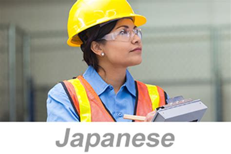 PureSafety On Demand Inspections And Observations Japanese